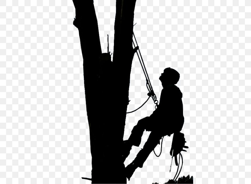 Tree Care Arborist Pruning Tree Topping, PNG, 442x600px, Tree, Arborist, Black, Black And White, Business Download Free