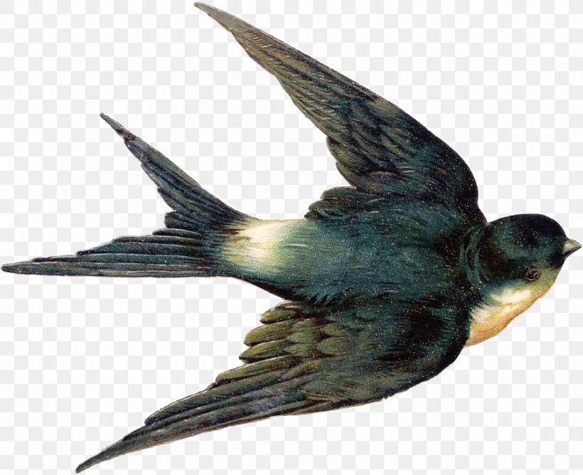 Bird Swallow Tattoo Barn Swallow Clip Art Tree Swallow, PNG, 1279x1043px, Bird, All About Birds, Barn Swallow, Beak, Bird Nest Download Free