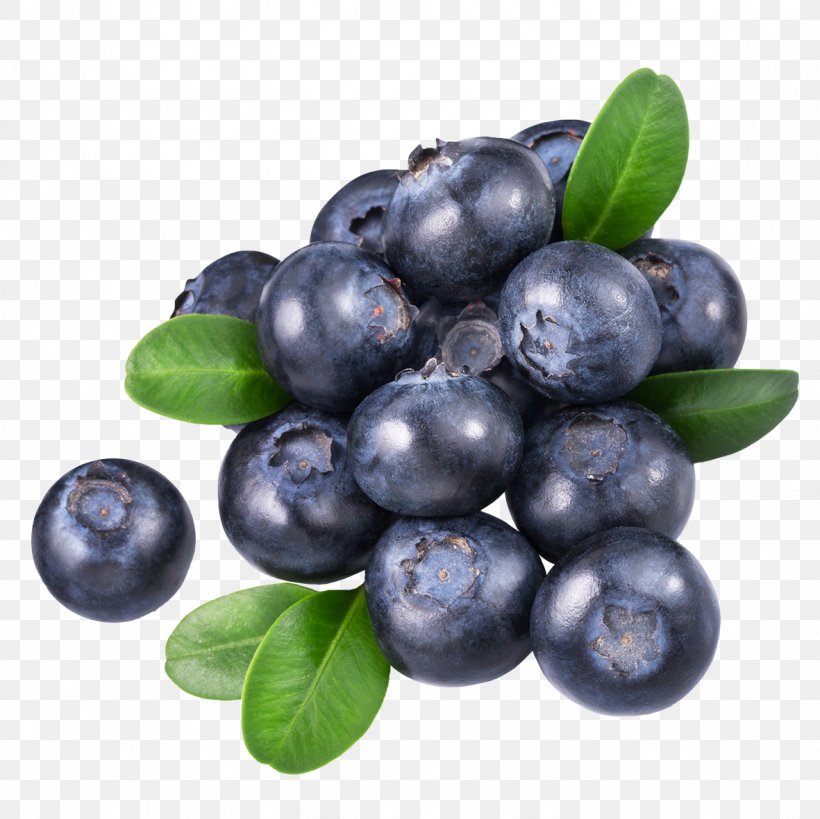 Blueberry Tea Food, PNG, 1181x1181px, Blueberry Tea, Aristotelia Chilensis, Berry, Bilberry, Blueberry Download Free
