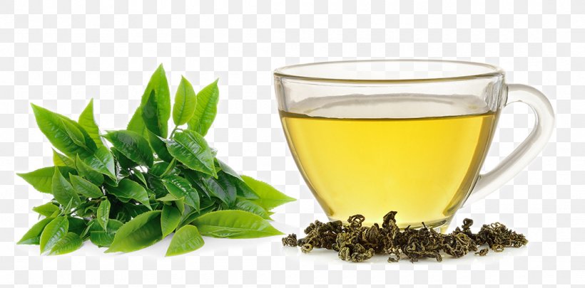 Green Tea White Tea Extract Camellia Sinensis, PNG, 1100x544px, Tea, Alternative Medicine, Antioxidant, Assam Tea, Black Tea Download Free