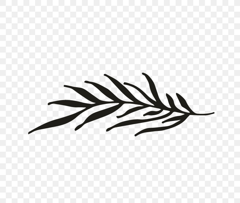 Line White Feather Invertebrate Clip Art, PNG, 696x696px, White, Bird, Black And White, Branch, Feather Download Free