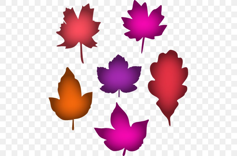 Maple Leaf Petal Symmetry Clip Art, PNG, 483x540px, Maple Leaf, Flowering Plant, Leaf, Magenta, Maple Download Free