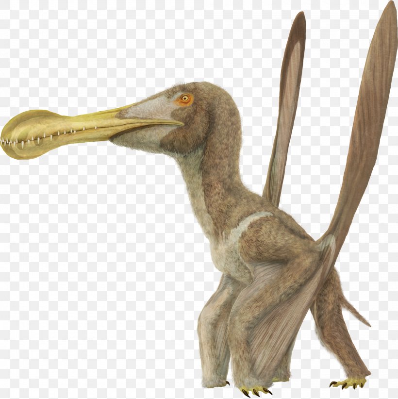 Ornithocheirus Buenzeli Coloborhynchus Beak Cretaceous, PNG, 2000x2007px, Ornithocheirus, Beak, Bird, Cretaceous, Dinosaur Download Free