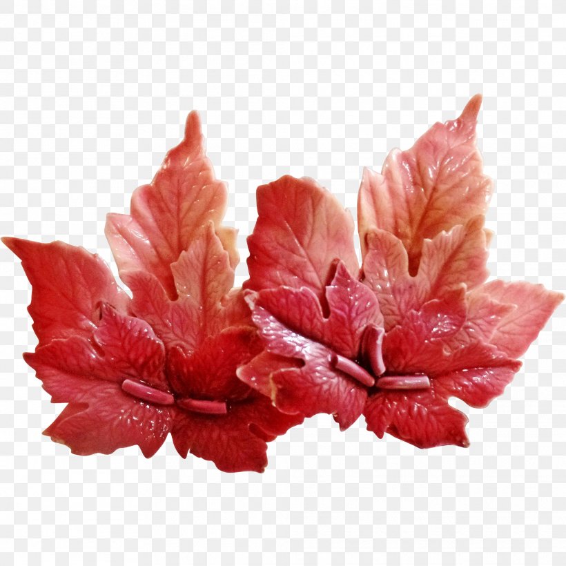 Petal Leaf Flower, PNG, 2024x2024px, Petal, Flower, Leaf Download Free