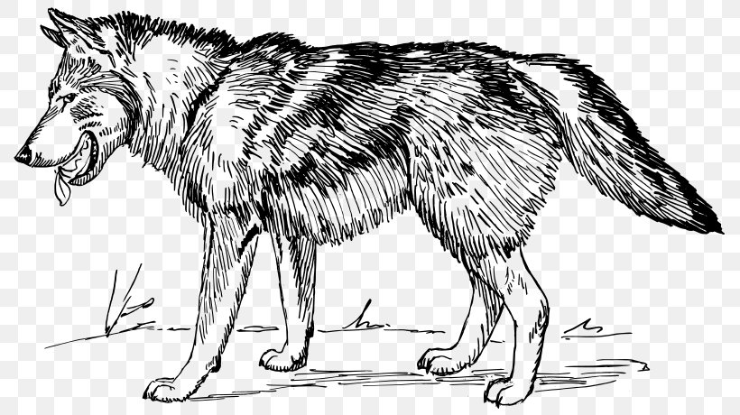 Arctic Wolf Black Wolf Clip Art, PNG, 800x460px, Arctic Wolf, Artwork, Black And White, Black Wolf, Carnivoran Download Free