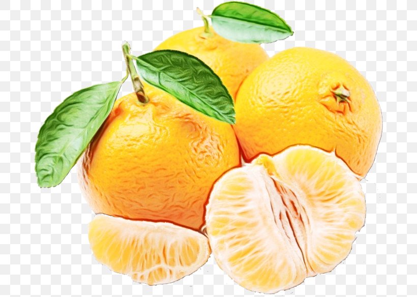 Citrus Fruit Mandarin Orange Food Plant, PNG, 700x584px, Watercolor, Citron, Citrus, Food, Fruit Download Free