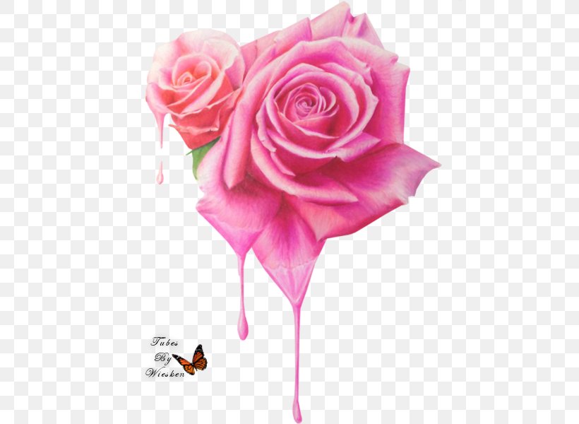Drawing Rose Colored Pencil Prismacolor Flower, PNG, 488x600px, Drawing, Art, Art Museum, Artificial Flower, Color Download Free