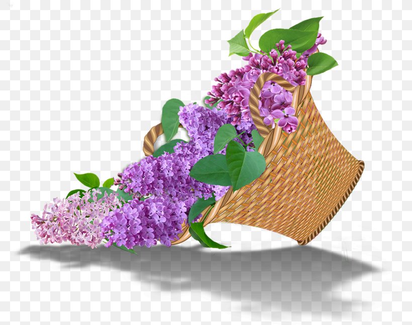 Floral Design Lilac Cut Flowers Garden Roses, PNG, 800x647px, Floral Design, Blue Rose, Bud, Centerblog, Color Download Free