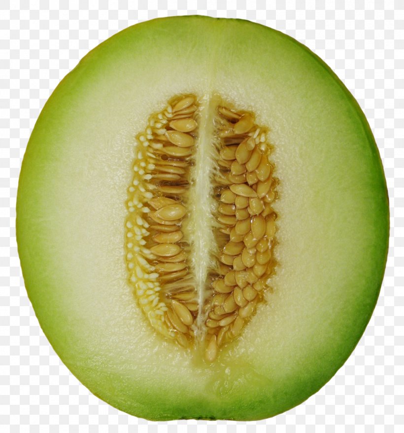 Honeydew Cantaloupe Frutti Di Bosco Melon Wax Gourd, PNG, 1017x1088px, Cantaloupe, Auglis, Commodity, Cucumber, Cucumber Gourd And Melon Family Download Free