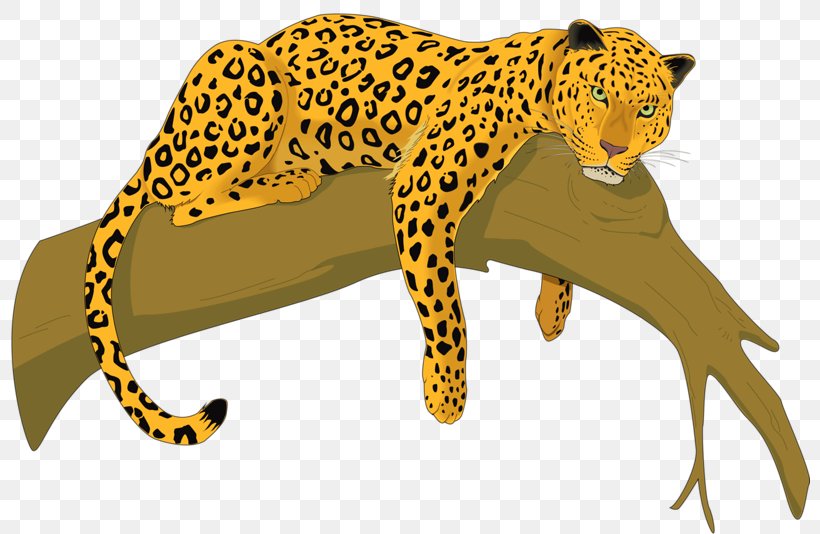 Cheetah Amur Leopard Felidae Clip Art, PNG, 800x534px, Jaguar, Big Cats, Book, Car, Carnivoran Download Free