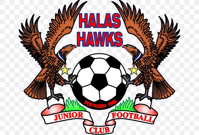 Halas Hawks JFC Premier League Football Team Sports, PNG, 666x558px, Premier League, Artwork, Ball, Beak, Brand Download Free