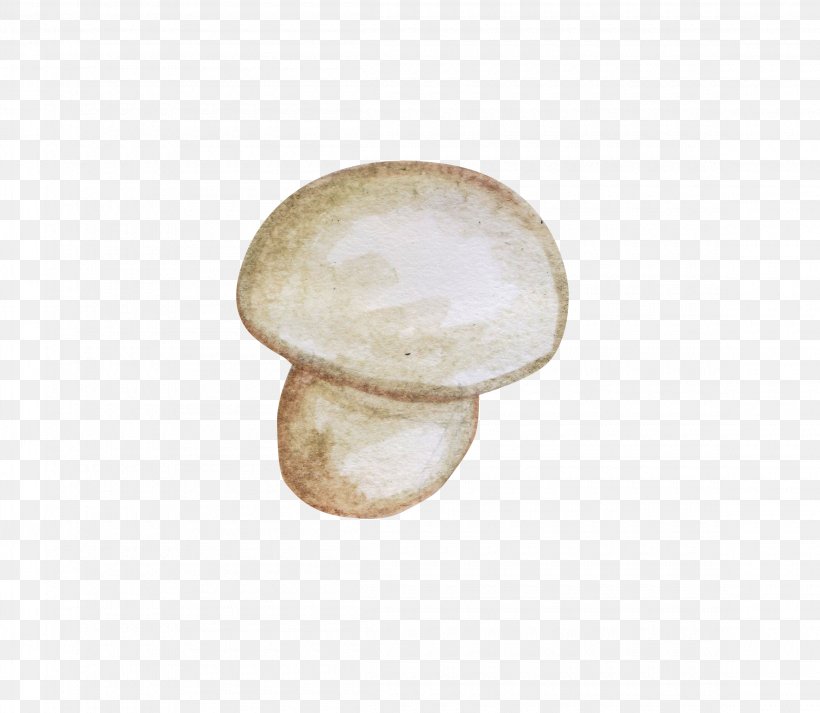 Pleurotus Eryngii Mushroom Shiitake Painting, PNG, 2300x2000px, Pleurotus Eryngii, Designer, Drawing, Edible Mushroom, Gratis Download Free