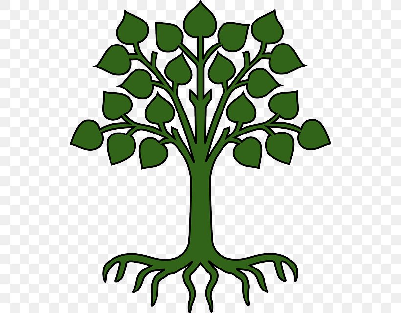 Root Tree Branch Cartoon Clip Art, PNG, 534x640px, Root, Artwork, Branch, Cartoon, Drawing Download Free