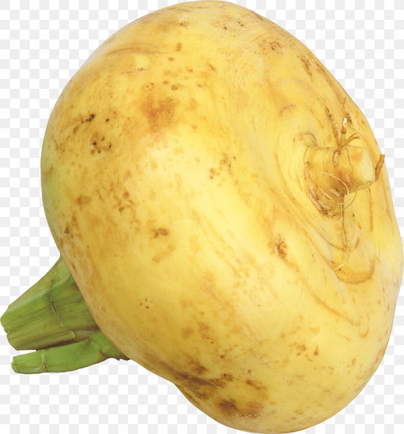 Turnip Root Vegetables Garlic Raphanus, PNG, 1535x1649px, Turnip, Brassica Rapa, Food, Fruit, Garden Radish Download Free