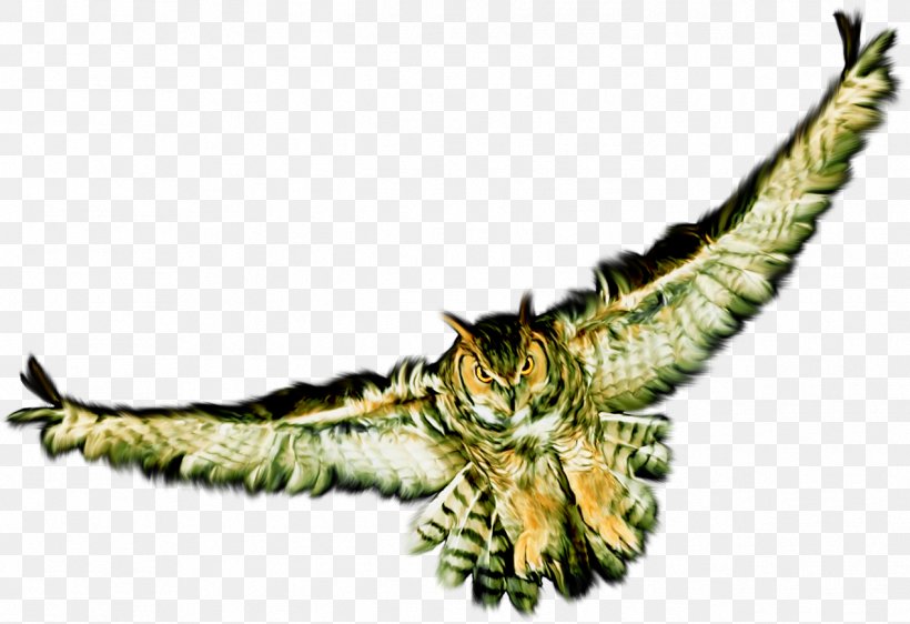 Bird Clip Art, PNG, 1269x871px, Bird, Animal, Beak, Bird Of Prey, Eagle Download Free