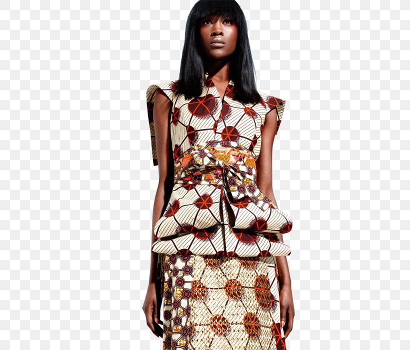 Fashion Design Shweshwe Dress African Wax Prints, PNG, 447x700px, Fashion, African Wax Prints, Clothing, Day Dress, Designer Download Free