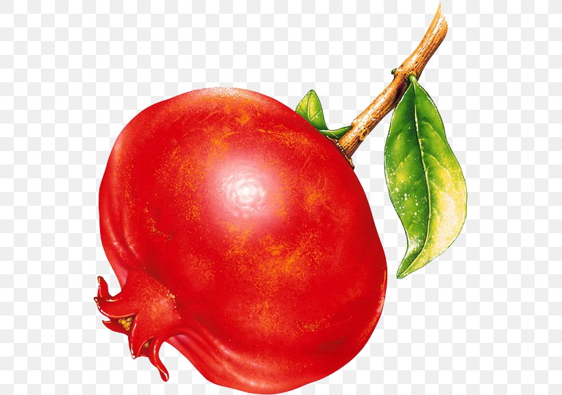 Fruit Pomegranate Clip Art, PNG, 547x576px, Fruit, Accessory Fruit, Apple, Auglis, Berry Download Free