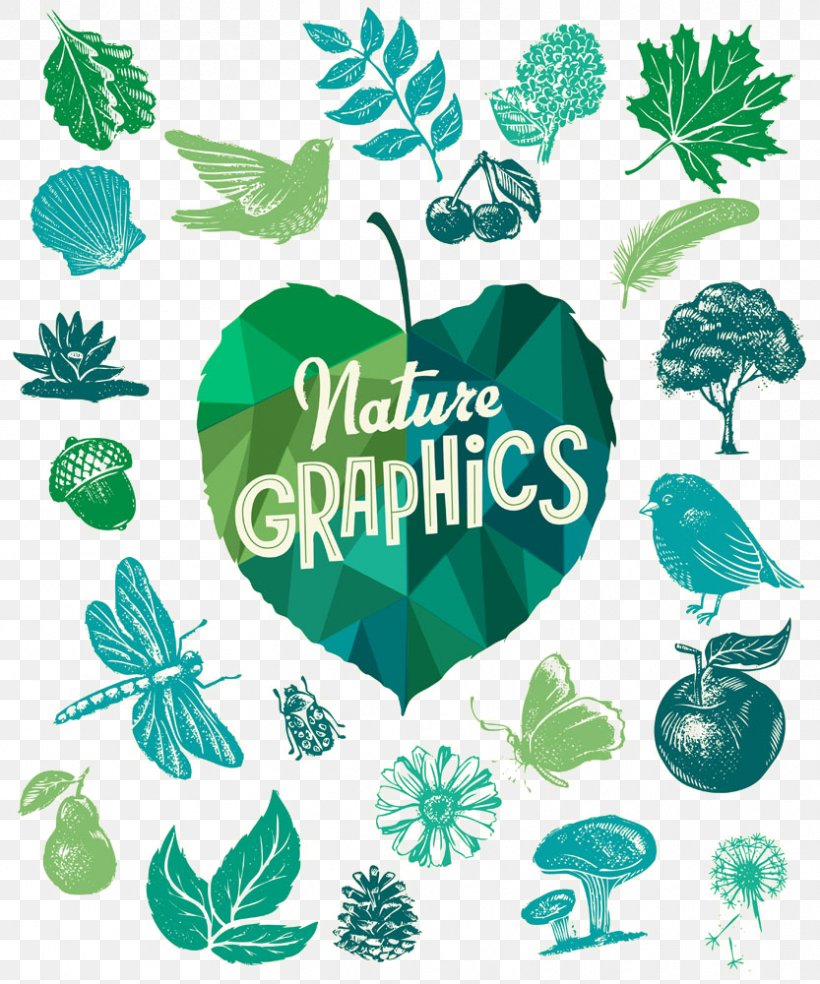 Illustration Stock Photography Vector Graphics Royalty-free Euclidean Vector, PNG, 833x1000px, Stock Photography, Botany, Green, Herbaceous Plant, Herbal Download Free