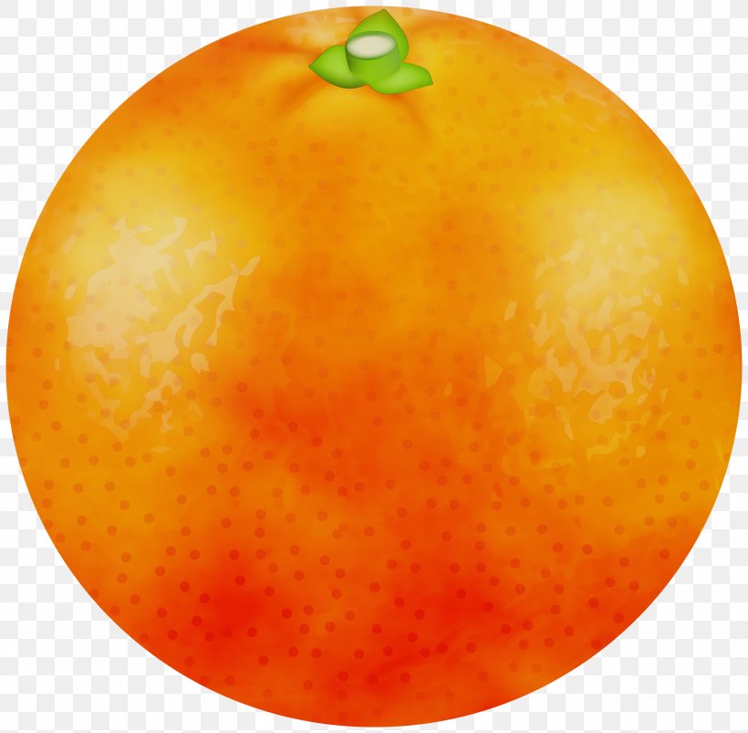 Orange, PNG, 3000x2938px, Watercolor, Citrus, Food, Fruit, Grapefruit Download Free