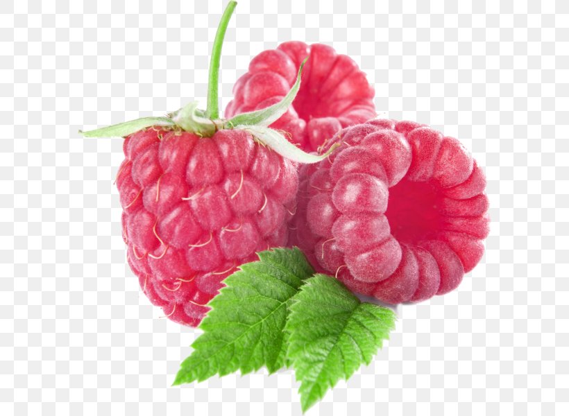 Raspberry Clip Art, PNG, 600x600px, Raspberry, Accessory Fruit, Berry, Black Raspberry, Blackberry Download Free