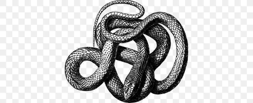 Snake Vipers Clip Art, PNG, 400x333px, Snake, Black And White, Black Mamba, Black Rat Snake, Boa Constrictor Download Free
