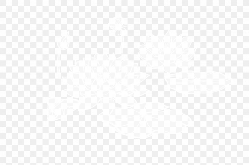 White Black Pattern, PNG, 2644x1763px, White, Area, Black, Black And White, Monochrome Download Free