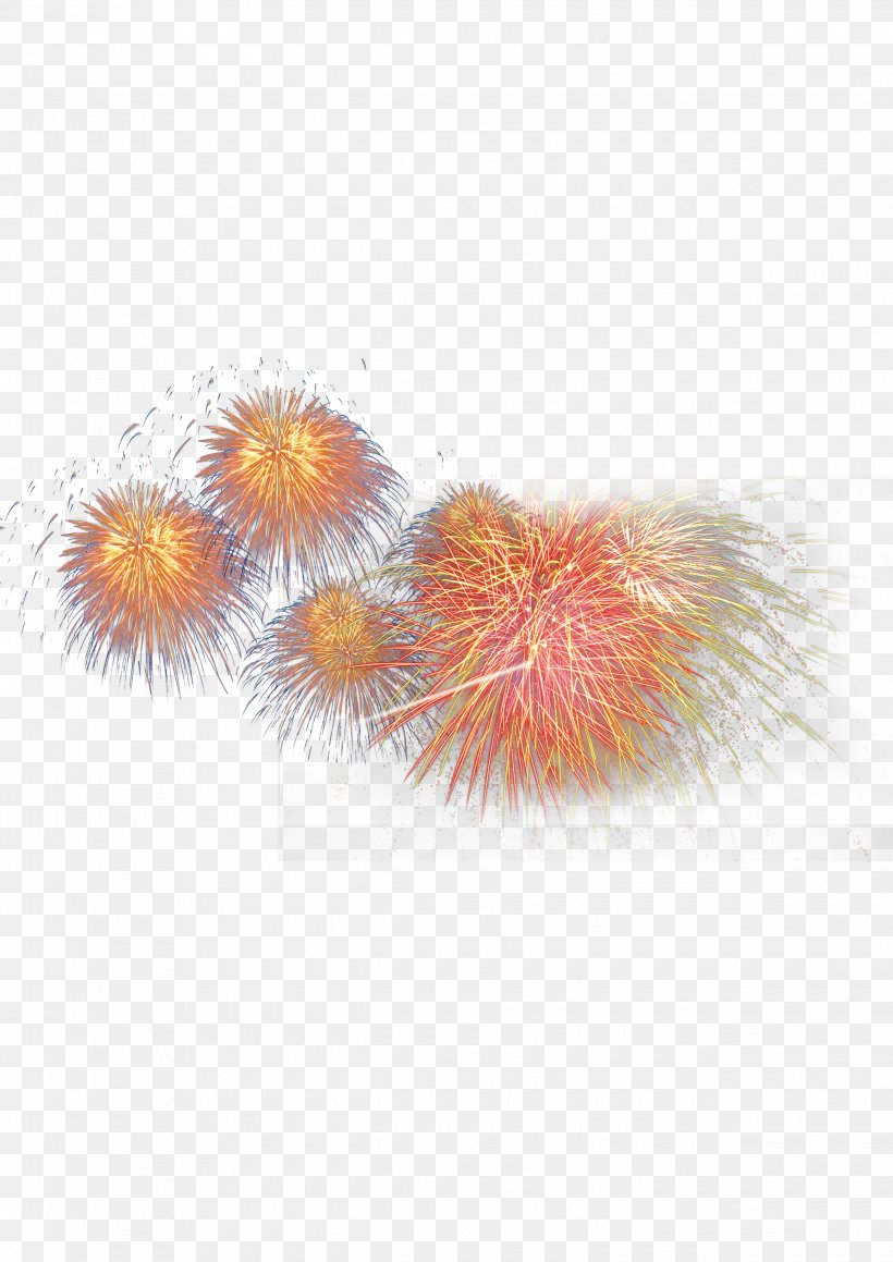 Adobe Fireworks, PNG, 2480x3508px, Fireworks, Animation, Feather, Fur, Organism Download Free
