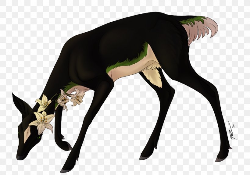Canidae Dog Neck Mammal Wildlife, PNG, 1000x700px, Canidae, Carnivoran, Dog, Dog Like Mammal, Mammal Download Free