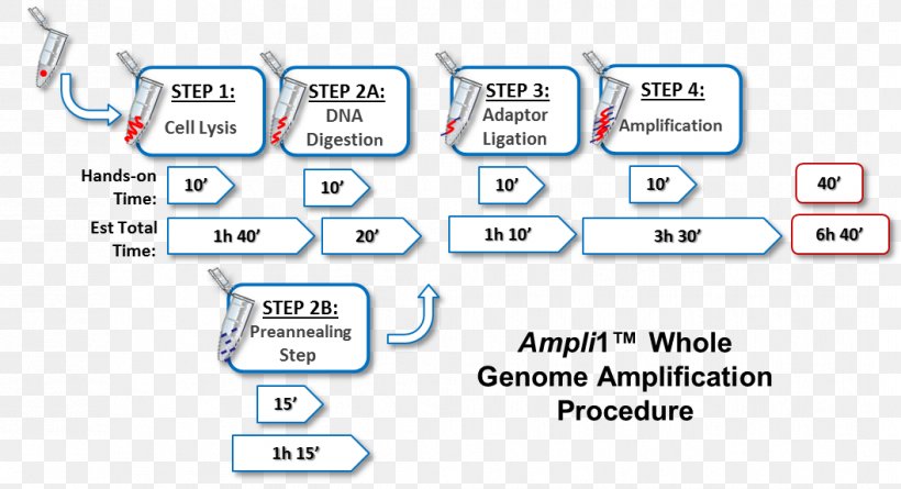 DNA Polymerase Chain Reaction Technology Genome Cell, PNG, 1057x574px, Dna, Area, Brand, Business, Cell Download Free