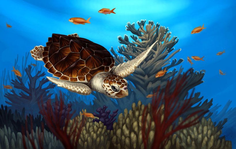 Loggerhead Sea Turtle Reptile Coral Reef, PNG, 1279x811px, Turtle, Animal, Coral, Coral Reef, Coral Reef Fish Download Free