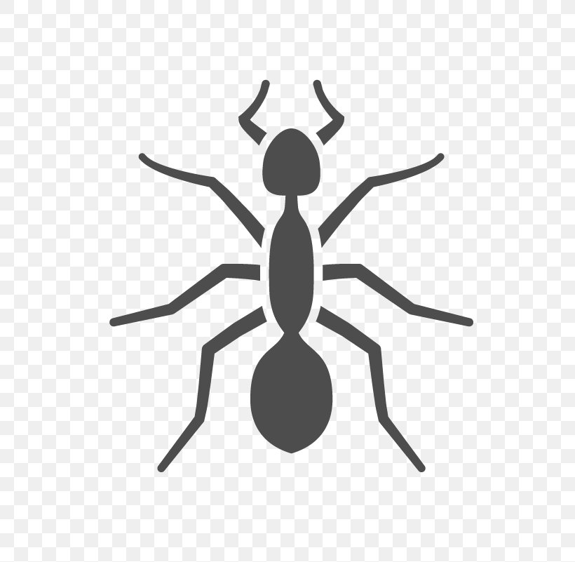 Ant Insect Pest Control Termite, PNG, 801x801px, Ant, Arachnid, Arthropod, Carpenter Ant, Exterminator Download Free