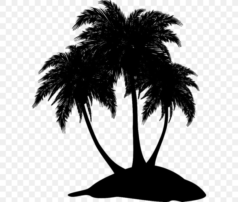 Asian Palmyra Palm Black & White, PNG, 600x696px, Asian Palmyra Palm, Arecales, Attalea Speciosa, Black, Black White M Download Free