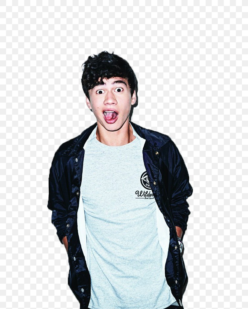 Calum Hood 5 Seconds Of Summer Sydney One Time I Tried To Marry A Chicken. She Looks So Perfect, PNG, 683x1024px, 5 Seconds Of Summer, Calum Hood, Ashton Irwin, Bassist, Calum Scott Download Free