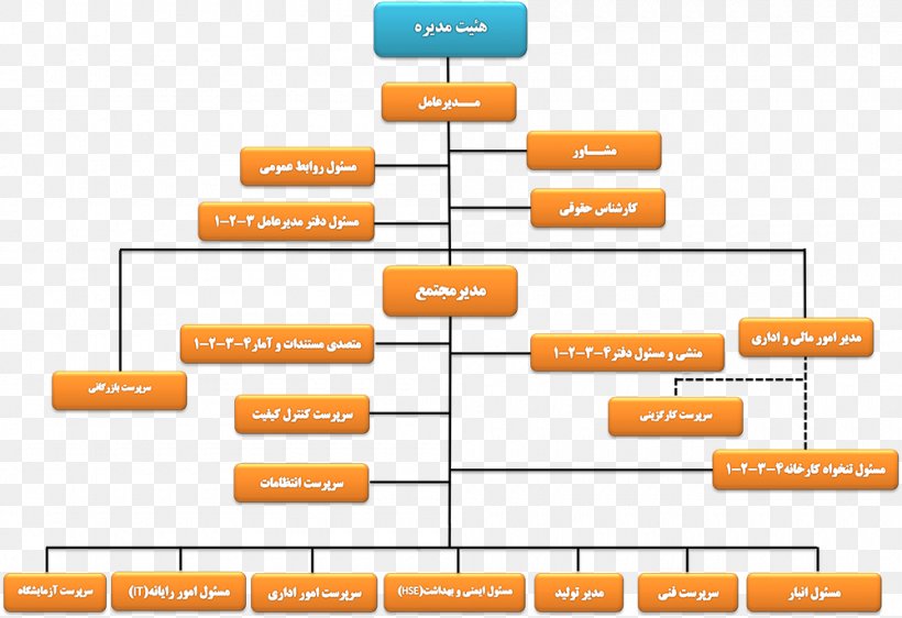 Diagram Organizational Chart Business Organizational Structure, PNG, 1000x686px, Diagram, Area, Brand, Business, Chart Download Free