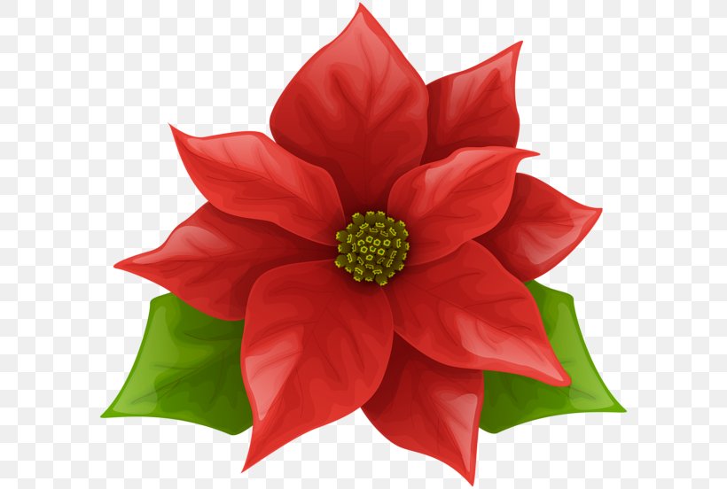 Poinsettia Art Christmas Clip Art, PNG, 600x552px, Poinsettia, Art, Christmas, Cut Flowers, Decorative Arts Download Free