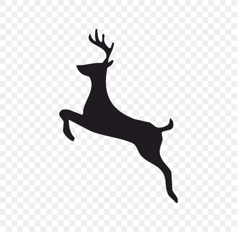 Reindeer Silhouette Clip Art, PNG, 800x800px, Reindeer, Antler, Art, Black, Black And White Download Free
