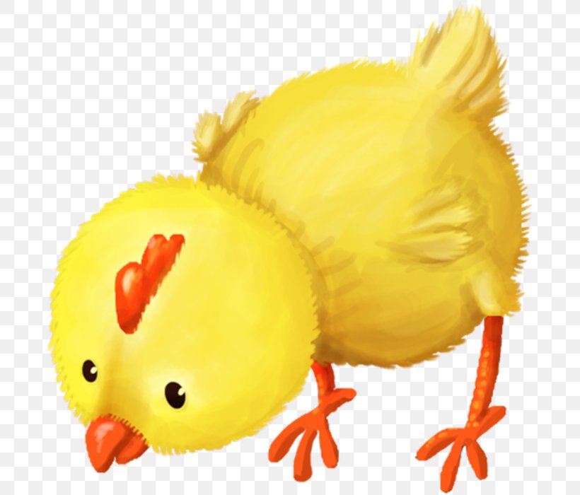 Chicken Clip Art, PNG, 689x700px, Chicken, Albom, Beak, Bird, Blog Download Free