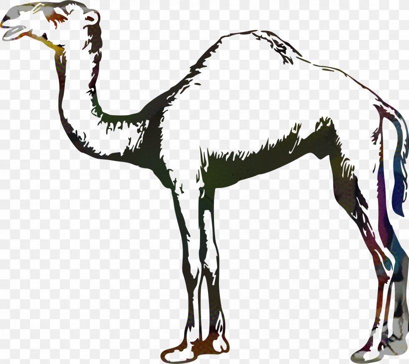 Dromedary Horse Pack Animal Fauna Wildlife, PNG, 2391x2130px, Dromedary, Animal, Animal Figure, Arabian Camel, Camel Download Free
