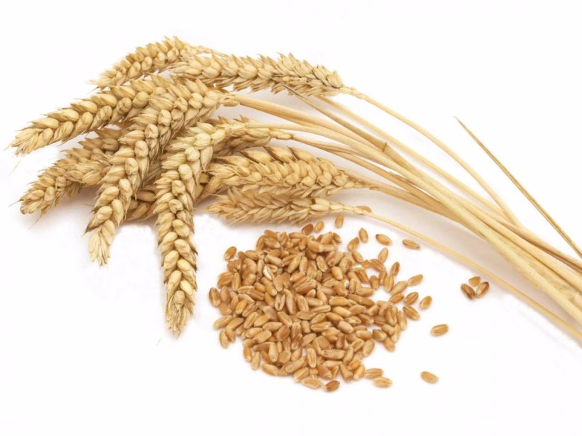 Durum Khorasan Wheat Common Wheat Cereal Whole Grain, PNG, 1200x900px, Durum, Avena, Barley, Bran, Cereal Download Free