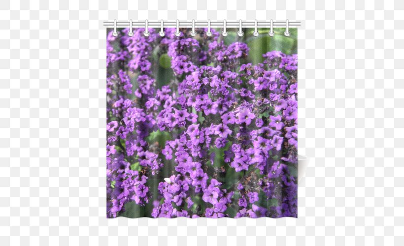 English Lavender Violet Purple Larkspur Canvas Print, PNG, 500x500px, English Lavender, Annual Plant, Bag, Canvas, Canvas Print Download Free