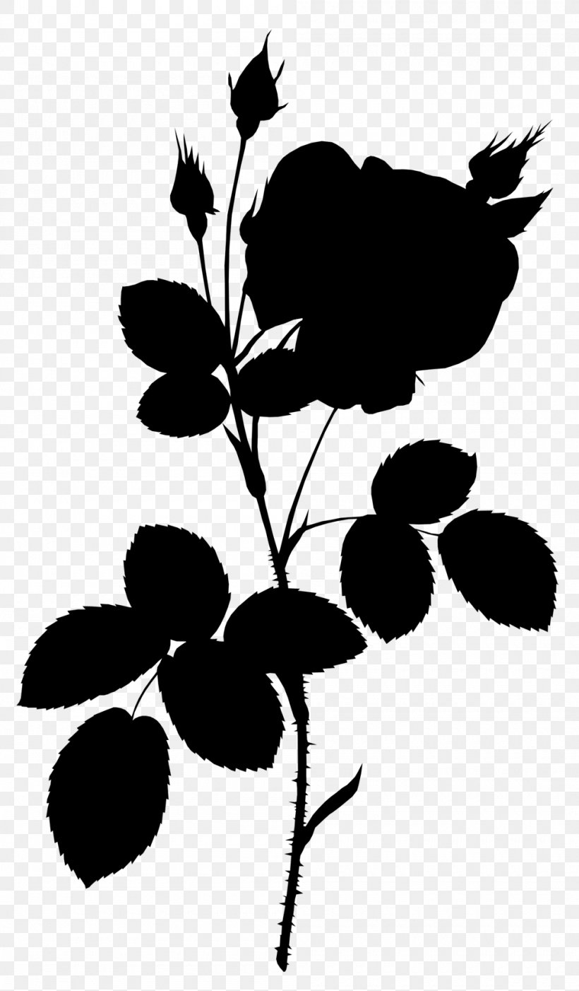 Leaf Idea Plant Stem Image Plants, PNG, 1000x1710px, Leaf, Blackandwhite, Botany, Branch, Dream Download Free