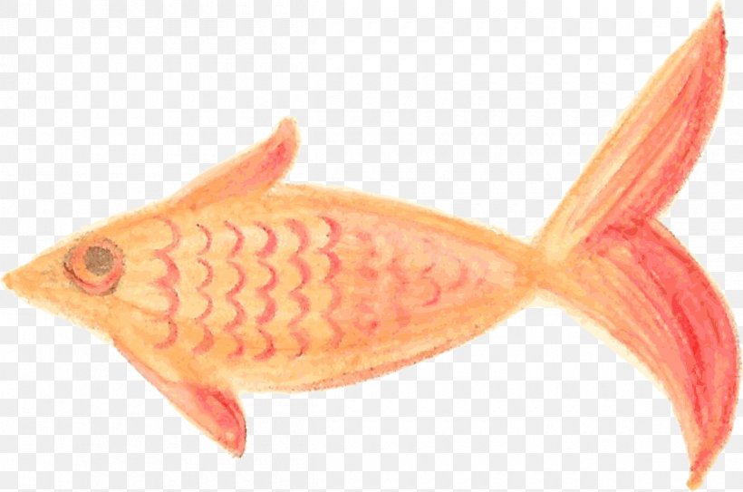 Painted Fish Painting, PNG, 2400x1590px, Fish, Animal Source Foods, Fin, Fish Products, Orange Download Free