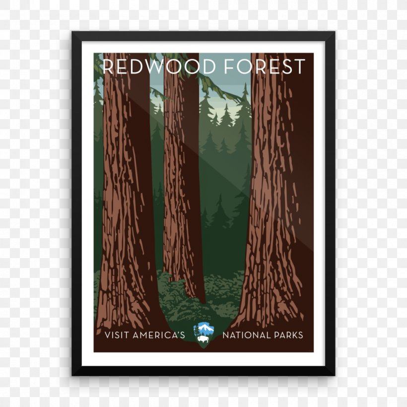 Redwood National And State Parks Yellowstone National Park Grand Canyon National Park Coast Redwood, PNG, 1000x1000px, Redwood National And State Parks, Canvas Print, Coast Redwood, Grand Canyon National Park, Louis Sullivan Download Free