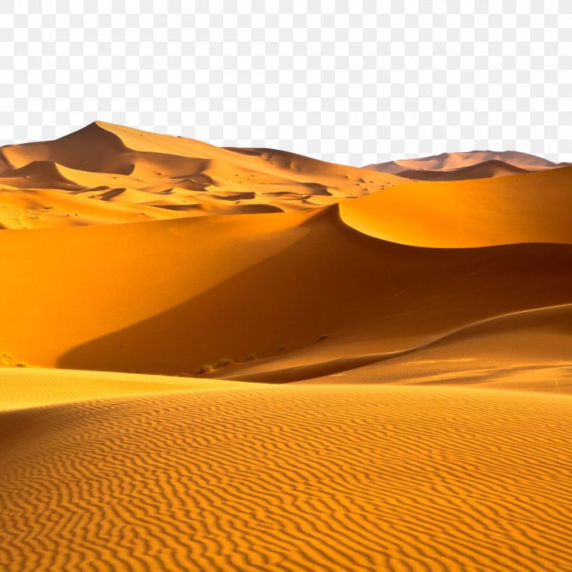 Sahara Arabian Desert Desert Climate Biome, PNG, 1000x1000px, Sahara, Aeolian Landform, Arabian Desert, Biome, Desert Download Free