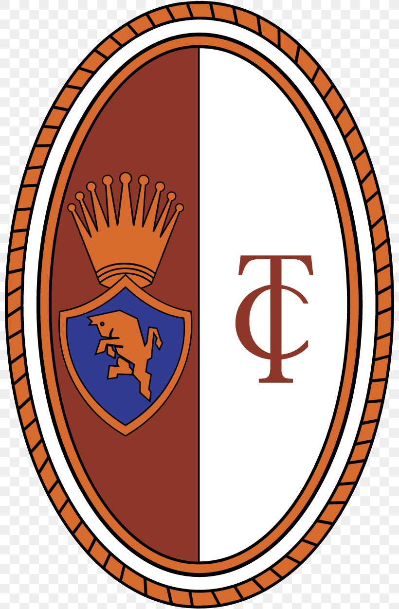 Torino F.C. Turin ACF Fiorentina Juventus F.C. Serie A, PNG, 800x1252px, Torino Fc, Acf Fiorentina, Area, Ball, Fabio Quagliarella Download Free