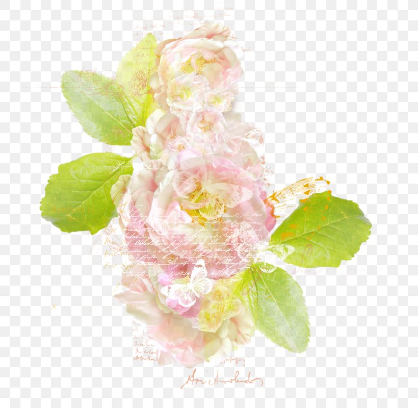 Flower Pink Floral Design Cabbage Rose, PNG, 800x800px, Flower, Blossom, Cabbage Rose, Cut Flowers, Floral Design Download Free