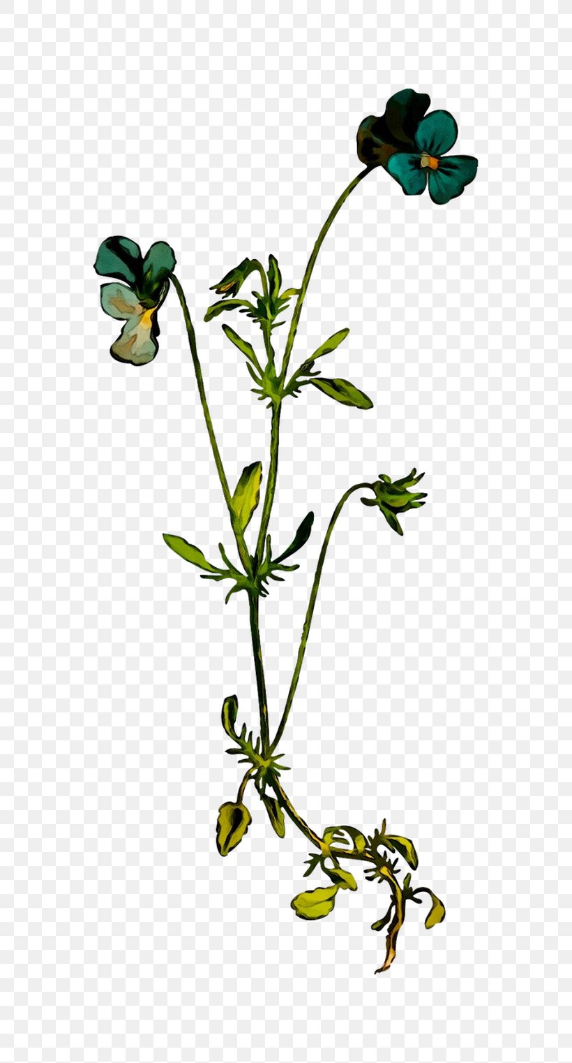 Flower Twig Plant Stem Leaf Plants, PNG, 761x1522px, Flower, Botany, Flowering Plant, Geranium, Leaf Download Free