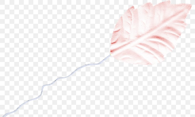 Paper Petal Angle Pattern, PNG, 798x491px, Paper, Material, Petal, Pink, White Download Free