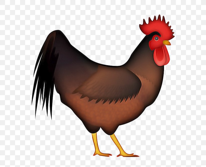 Rooster Chicken Beak, PNG, 667x667px, Rooster, Beak, Bird, Cartoon, Chicken Download Free