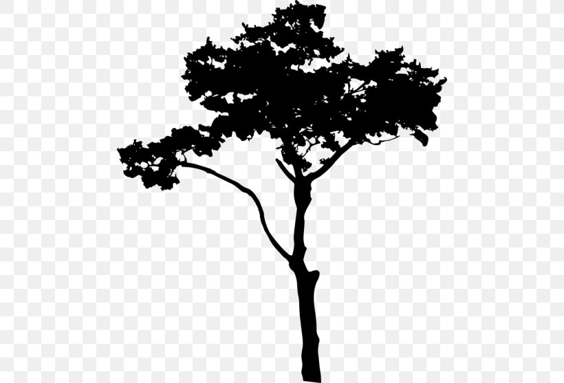 Silhouette Clip Art, PNG, 480x557px, Silhouette, Austral Pacific Energy Png Limited, Black And White, Bonsai, Branch Download Free